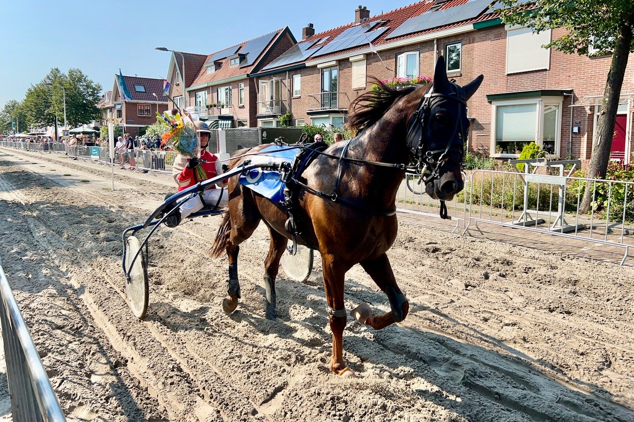 Medusa J wint IJmuiden 2024.