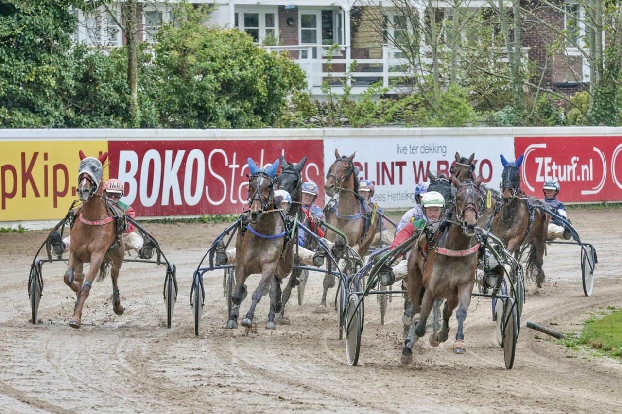 Koerspaarden op Alkmaar ZEturf ArenA.
