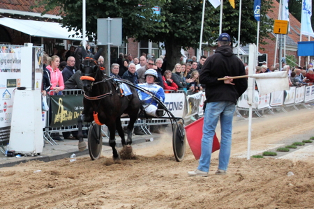 Het meest succesvolle Nederlands gefokte paard van 2018: Eliot Charisma.